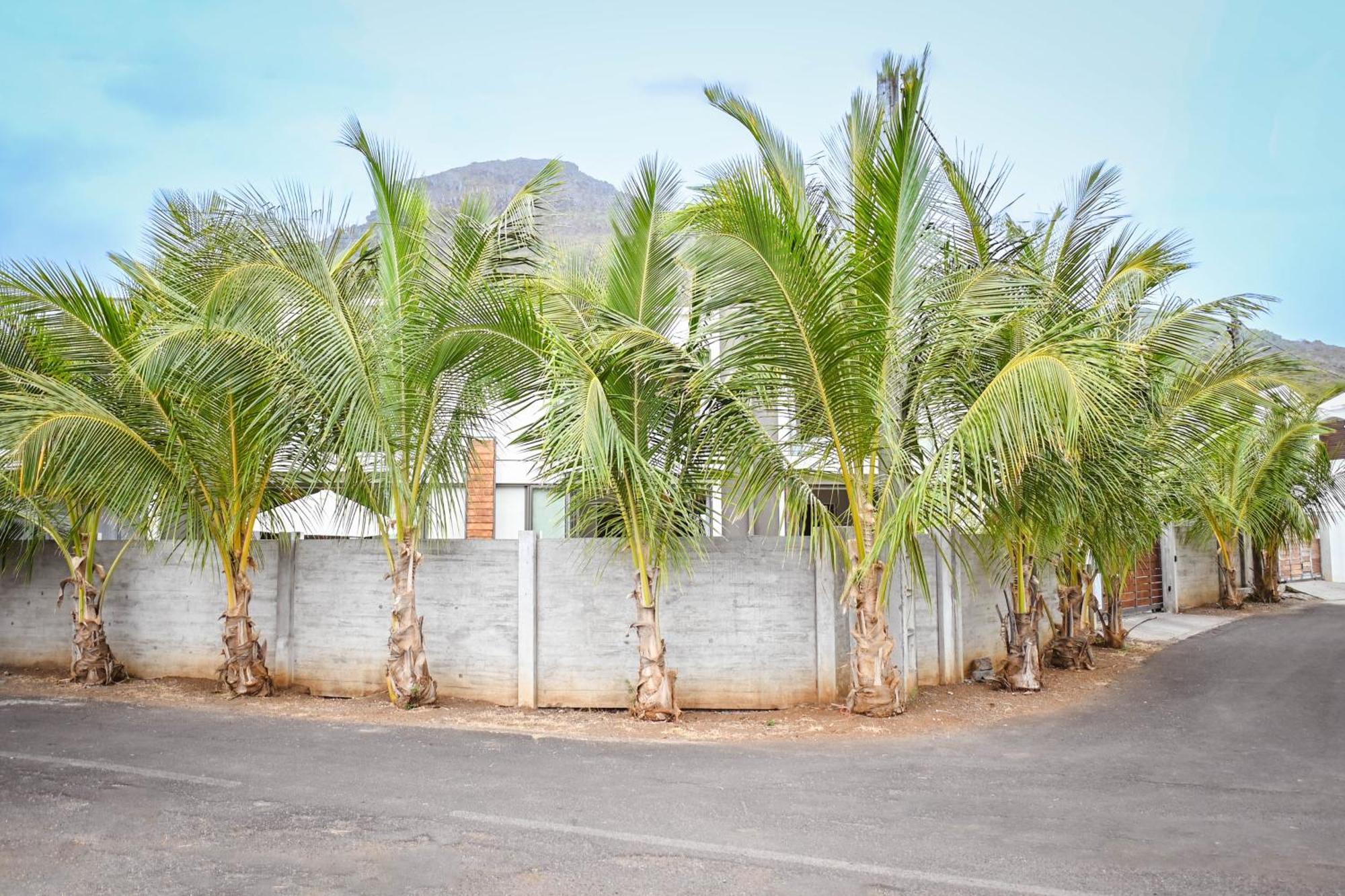 Bois Mapou Self Catering Apartments Unit 101 Riviere Noire Exterior photo